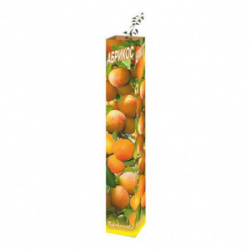 1647844_1